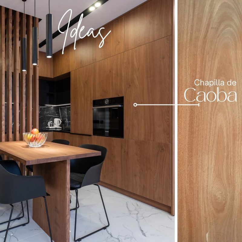 354017651_240522505385054_8777072798052799497_n